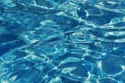 schwimmen_wasser.jpg